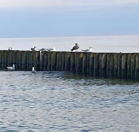 Perlowa Przystan - Szum Morza Sianożęty